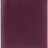 VISCONTI Visconti Rb44 Cancum Multi-Color Soft Leather Wallet Plum Multi | Card & ID Cases